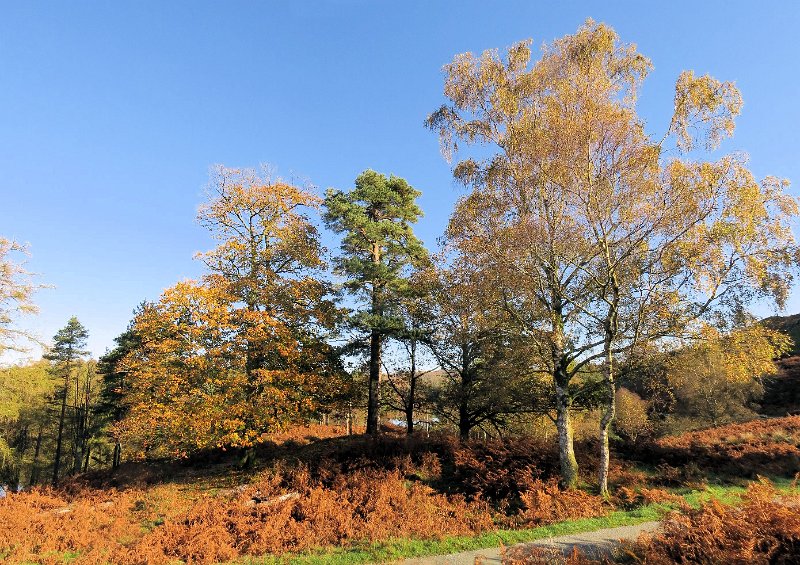 (24) Tarn Howes.jpg